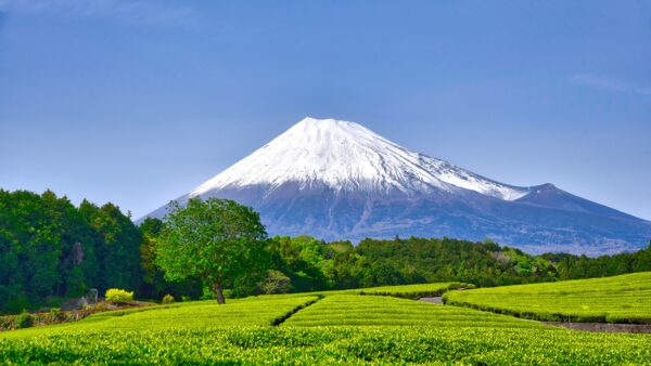 【お知らせ】JaSCA新メンバーシップ制度「JaSCA Founding Member」の募集を開始しました。